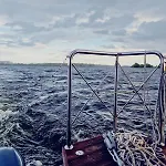 Hausboot Havelrobbe *