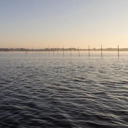 Hausboot Havelrobbe Botel Brandenburg an der Havel