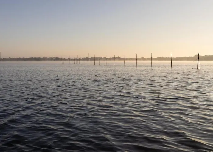 Hausboot Havelrobbe Botel Brandenburg an der Havel